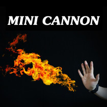 Mini Cannon (Remote Control)
