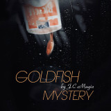 Goldfish Mystery by J.C Magic