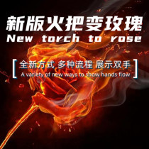 New Torch to Rose