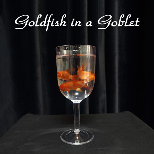 Goldfish in a Goblet