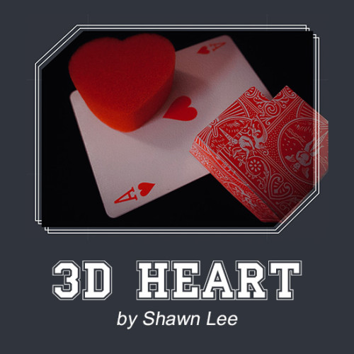 3D Heart by Shawn Lee