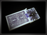 Spade Spider by Shawn Lee