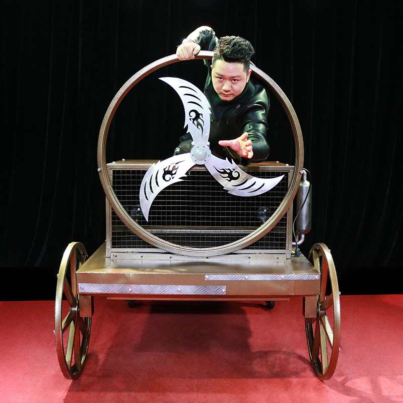 希少　A Journey Through Illusions Color-dependent motion illusions in stationary images: What