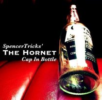 * The Hornet by Spencer Tricks