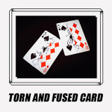 Torn and Fused Card