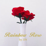 Rainbow Rose by JIN
