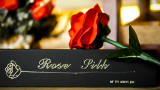 Rose Silk by JIN
