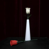 Rose Color Change Vase by JIN