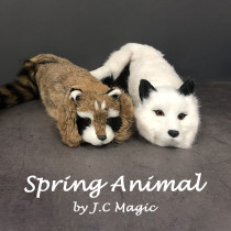 Spring Animal (Rabbit Fur) by J.C Magic
