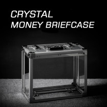 * Crystal Money Briefcase