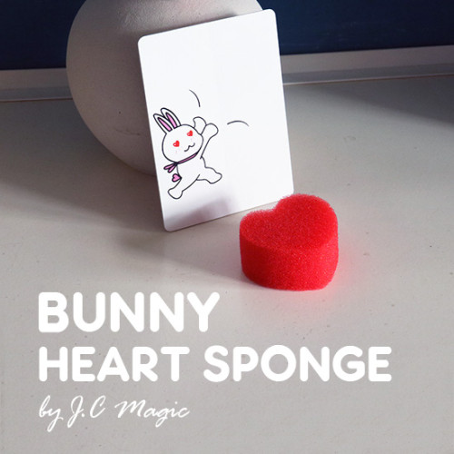 Bunny Heart Sponge by J.C Magic
