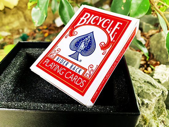 Bicycle discount card case