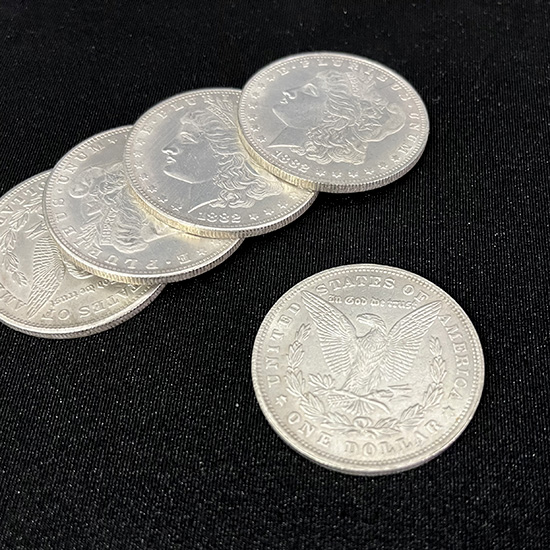 Cupronickel Morgan Dollar Shell and Coin Set (4 Coins 1