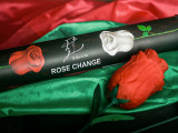 * Rose Change
