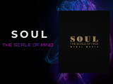 * SOUL - THE SCALE OF MIND