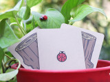 * Lucky Ladybug (Gimmicks and Online Instructions) by Joshua Ray & Deuce Gala Magic