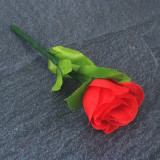 Rose Regeneration (Red)