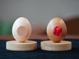 Real Egg (White/Brown)
