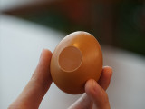 Real Egg (White/Brown)