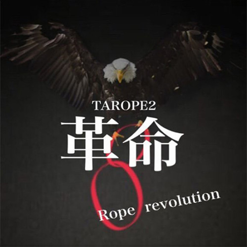 Tarope2 Rope Revolution