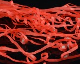 Throw Streamers - 3 Colors, Pack of 15 (24 x 6 Meters)