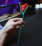Silky Rose