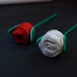 Silky Rose