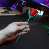 Silky Rose