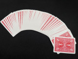 Ultra-Thin Bicycle Manipulation Deck