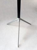 New Cane to Table