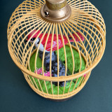 Floating Bird Cage