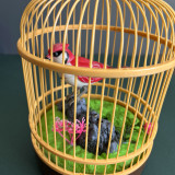 Floating Bird Cage