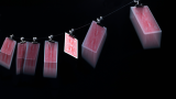 * Gravity Clips by Greg Van Holsbeck
