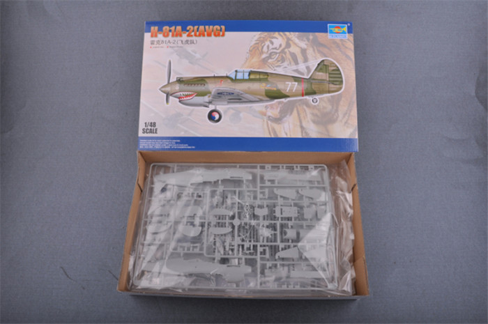 Trumpeter 05807 1/48 Scale H-81A-2(AVG) Fighter Military Plastic Aircraft Assembly Model Kit