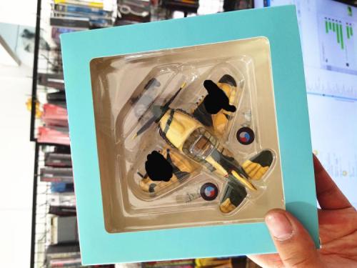 Tiger Model CH001 WWII Curtiss P-40 Warhawk Fighter w/Pilot Q Edition Plastic Finished Model Kits