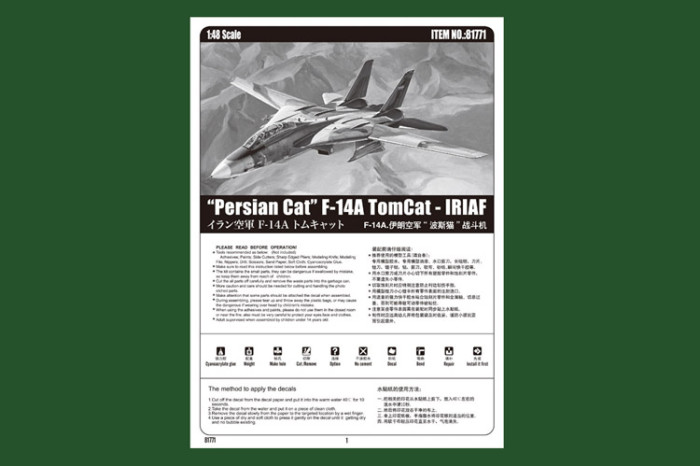HobbyBoss 81771 1/48 Scale Persian Cat F-14A TomCat - IRIAF Fighter Military Plastic Aircraft Assembly Model Kits