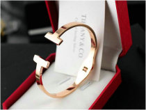Tiffany-bracelet (566)