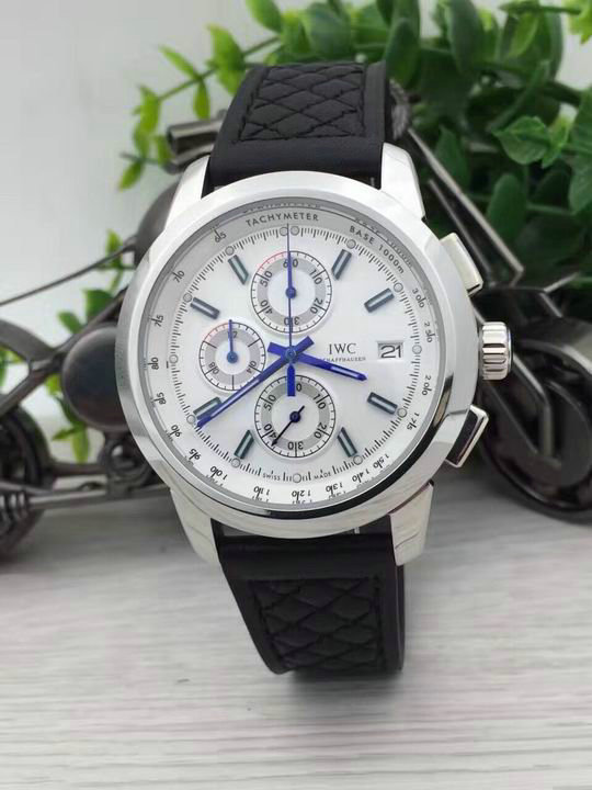 IWC watches (28)