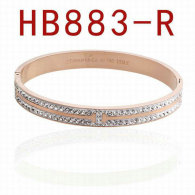 Tiffany-bracelet (739)