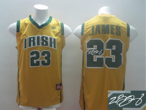 Autographed Miami Heat -23 LeBron James Yellow Irish High School Stitched NBA Jersey