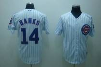 Chicago Cubs -14 Ernie Banks Stitched White MLB Jersey