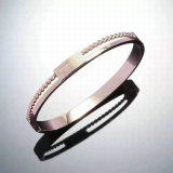 Michael Kors-bracelet (70)