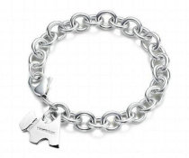 Tiffany-bracelet (444)