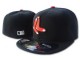 Boston Red Sox Hat - 21