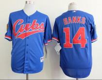 Chicago Cubs -14 Ernie Banks Blue 1994 Turn Back The Clock Stitched MLB Jersey