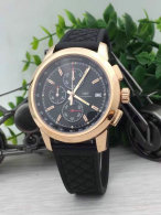 IWC watches (31)