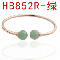 Tiffany-bracelet (687)