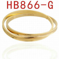 Tiffany-bracelet (723)