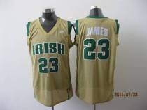 Miami Heat -23 LeBron James Earth Yellow Irish High School Stitched NBA Jersey