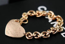 Tiffany-bracelet (496)